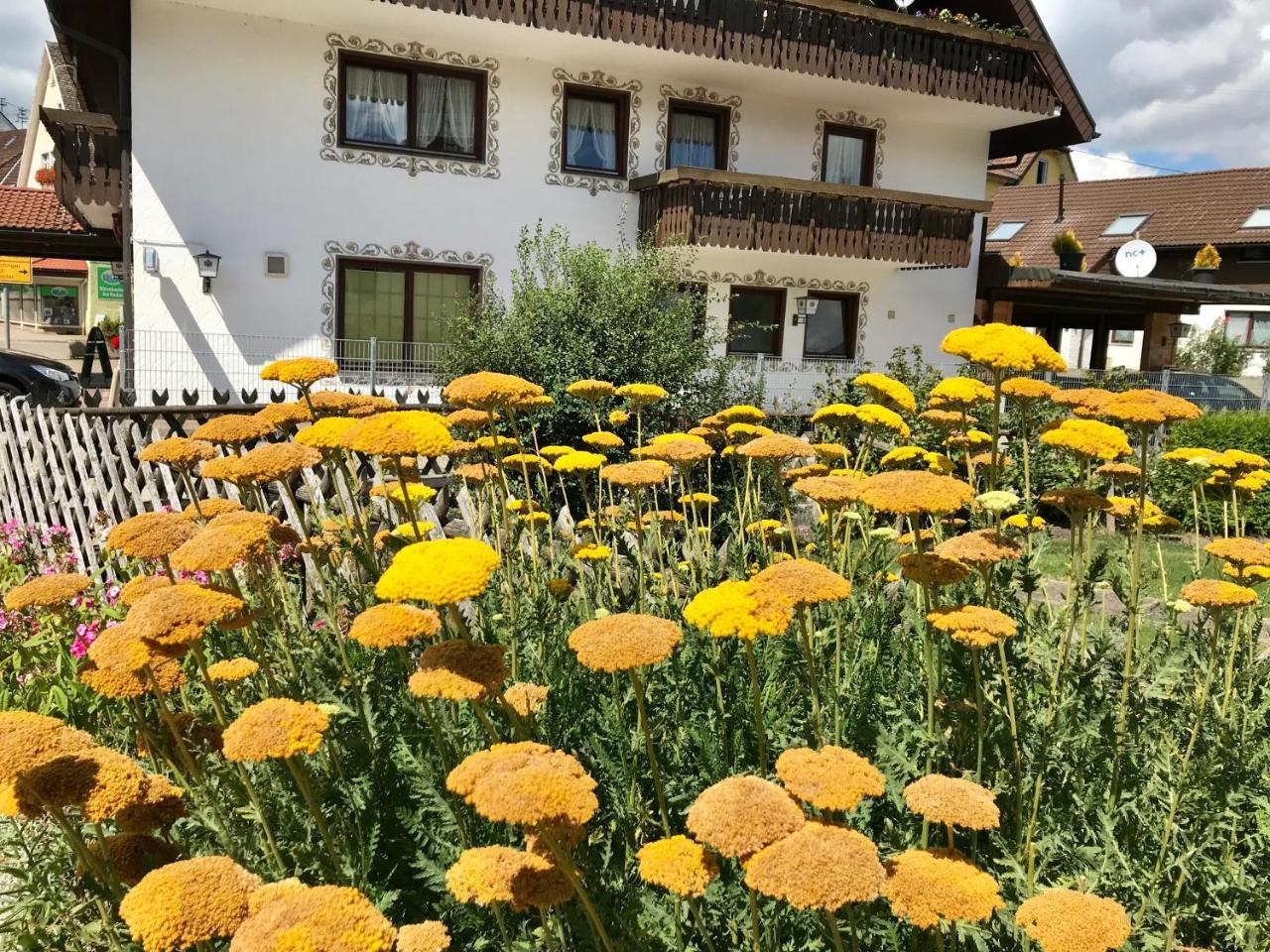 Hotel-Pension Zum Bierhaus Rötenbach Esterno foto